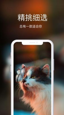 壁纸工坊app图3