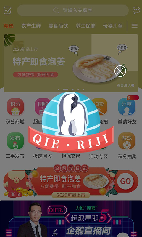 企鹅日记图3