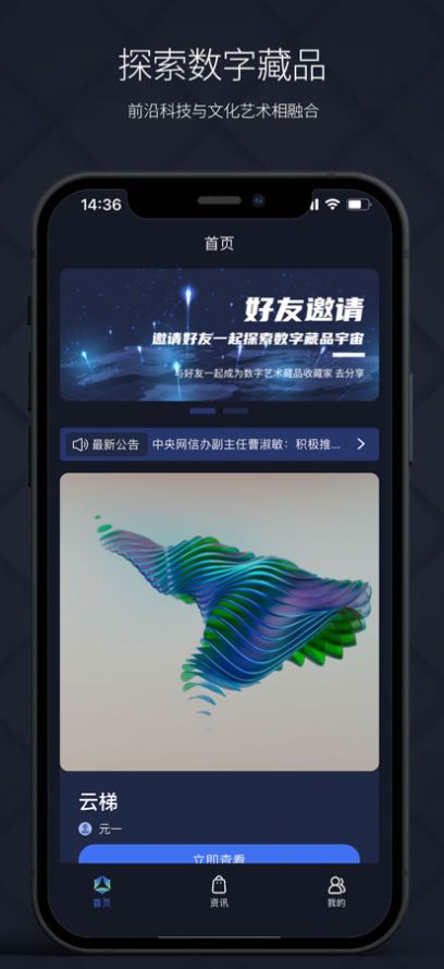 矢量磁场数字藏品图2