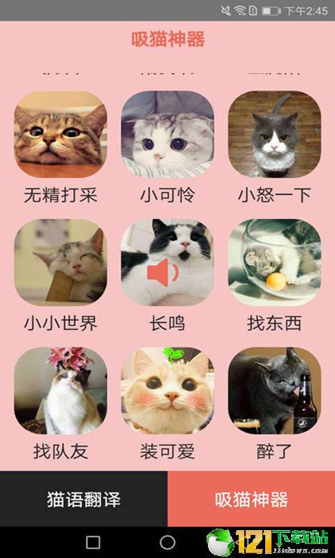 火猫密语图1