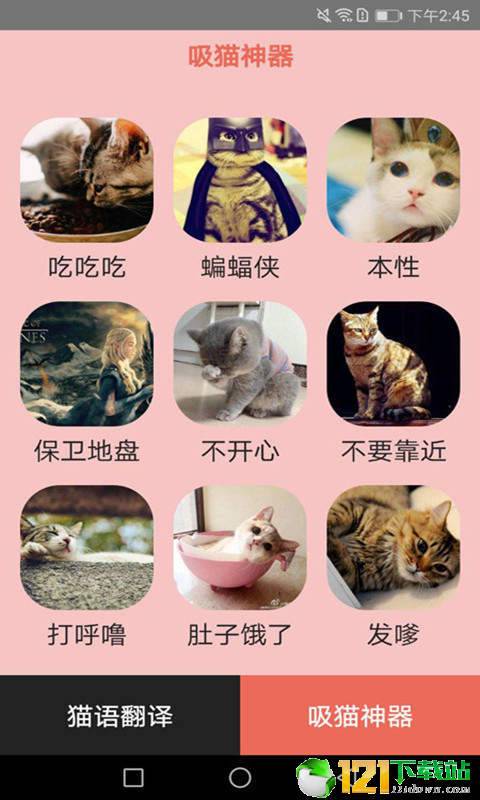 火猫密语图4