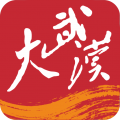 长江日报app图标