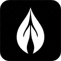 彼岸