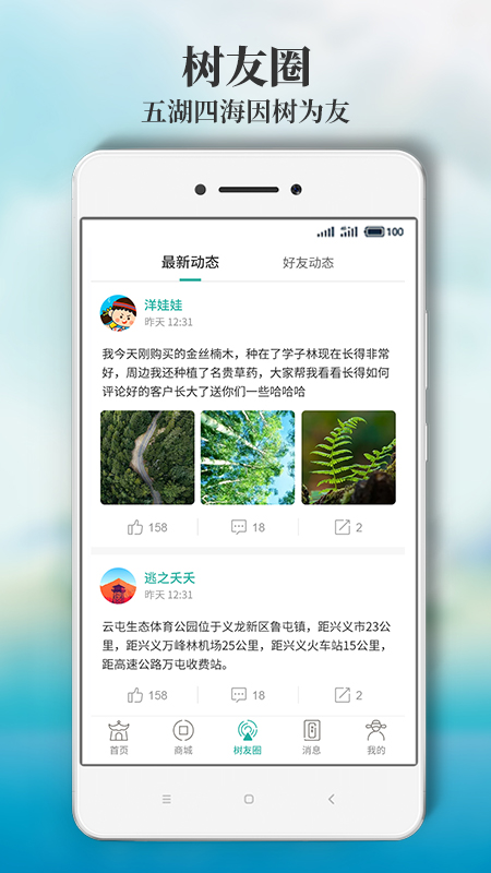 神木林图4
