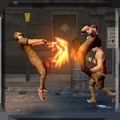 街道拳头格斗图标