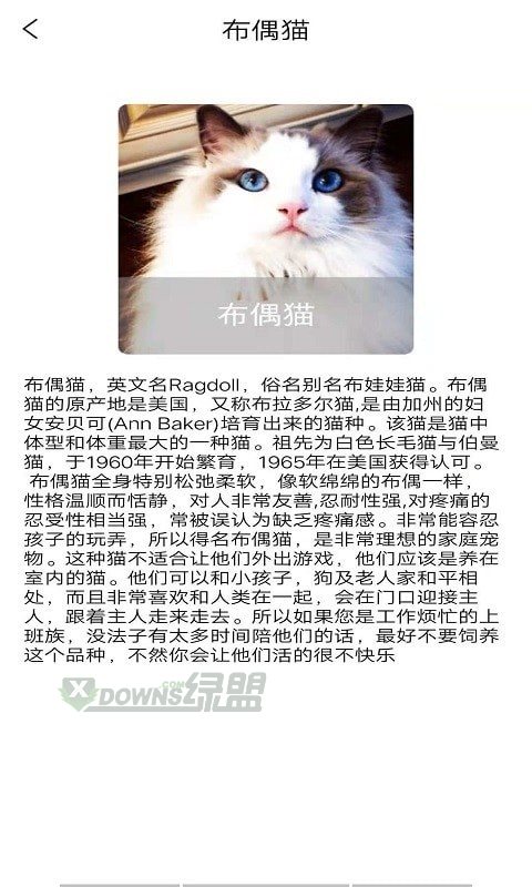 宠物知识全书图3