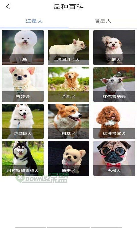 宠物知识全书图1