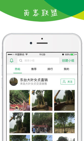 苗木宝图4