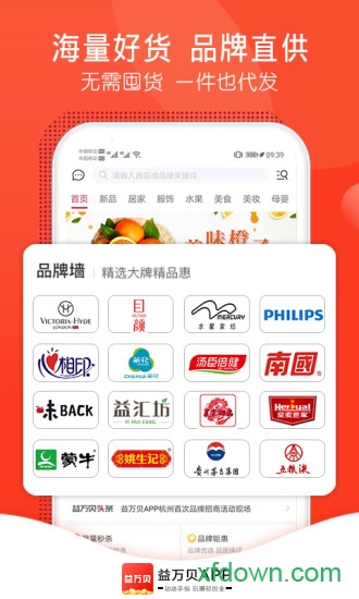 益万贝图3