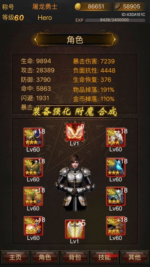 黑暗传说9.1满Vip版本