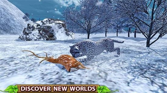 野生猎豹模拟器3d图4