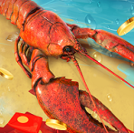 赶海王游戏