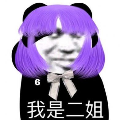 熊猫头九人女团表情包图2