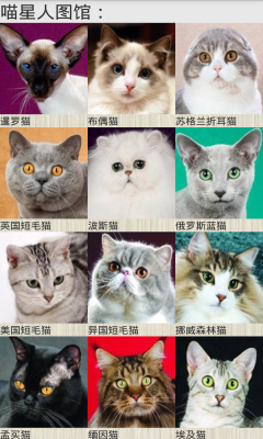 一起来猜喵星人图2