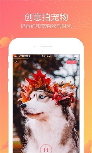 撸宠图2