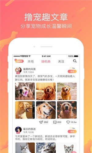 撸宠图3