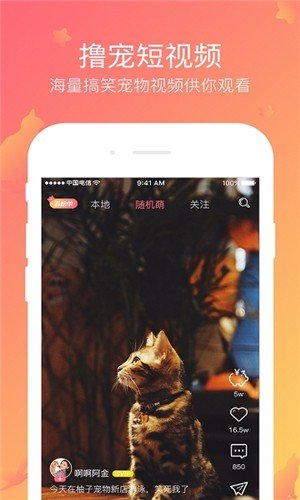 撸宠图4