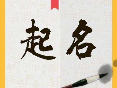 IM电子起名图1