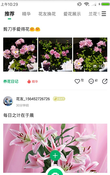 花花识花图4