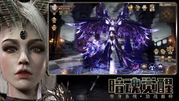王者之翼图1