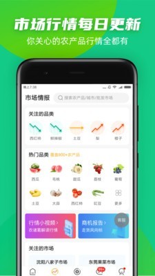 豆牛图4
