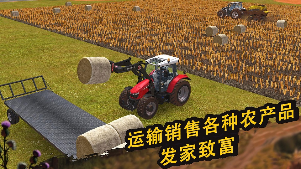 图1