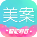 美案