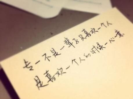 双鸿手机壁纸app安卓版图2