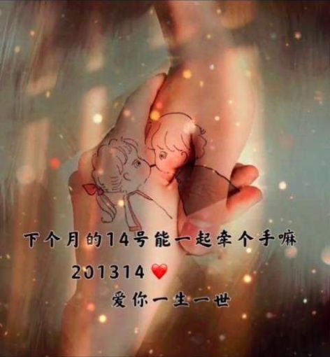 双鸿手机壁纸app安卓版图3