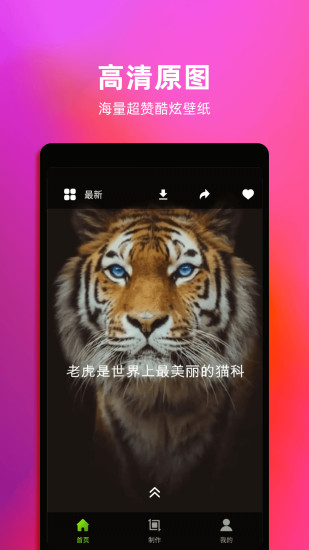 4k动态壁纸手机壁纸图4