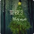 圣夜3汉化中文版HolyNight