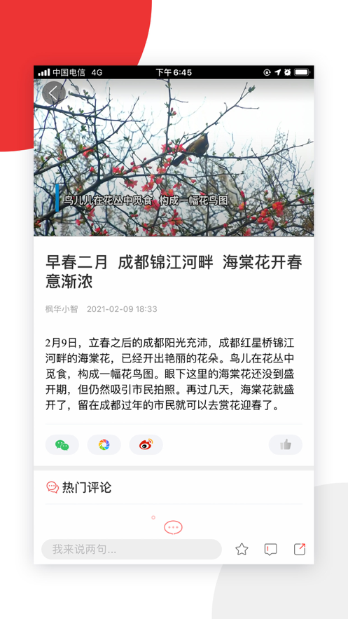 枫华小智APP官方版