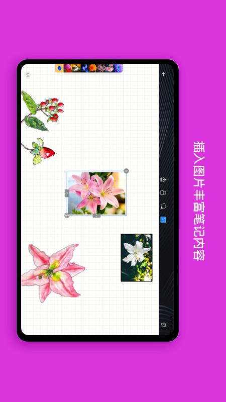 千本笔记最新手机版图3