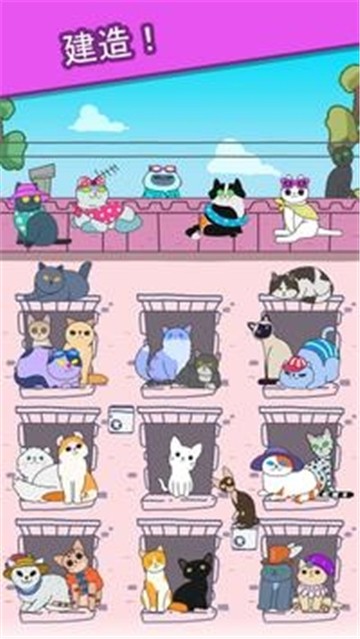 心动契约猫咪进化论图1