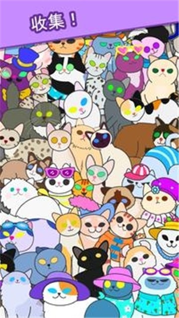 心动契约猫咪进化论图4