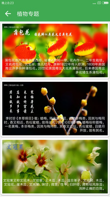 植物百科安卓版图3