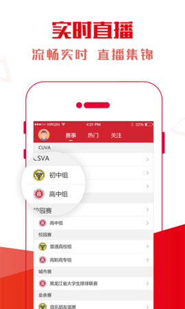 超级排球（Super Volley）图3