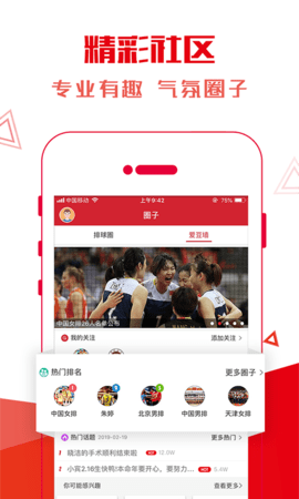 超级排球（Super Volley）图4
