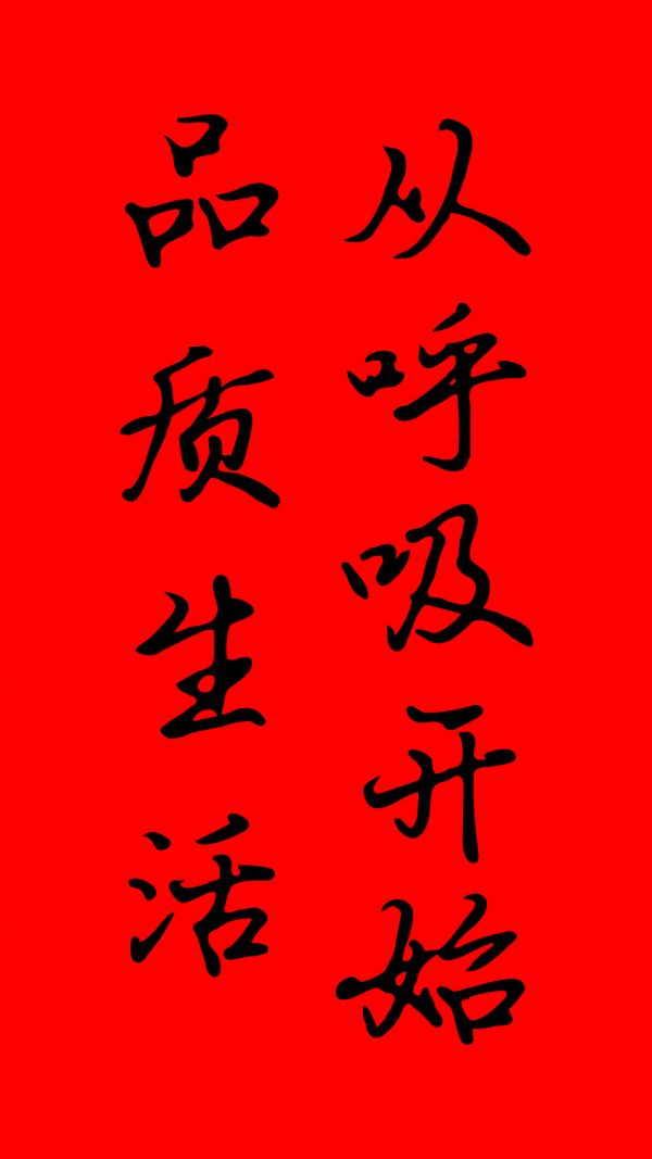 朗适新风图3