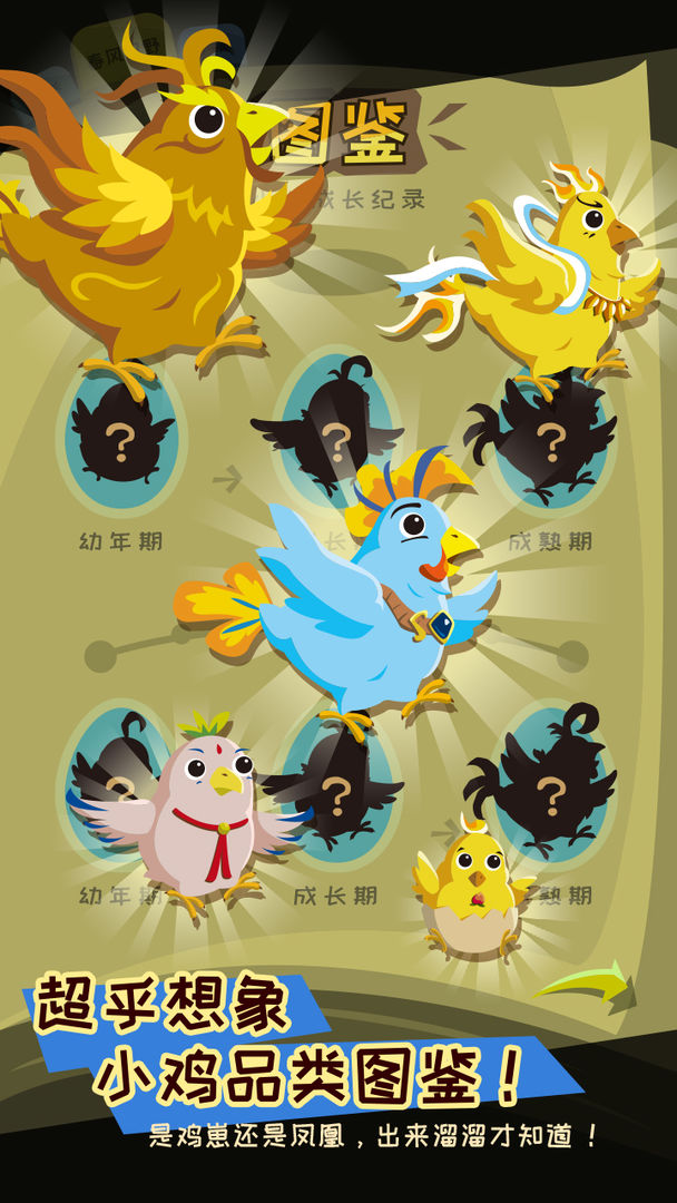 鸡不可失图3