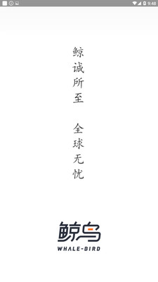 鲸鸟