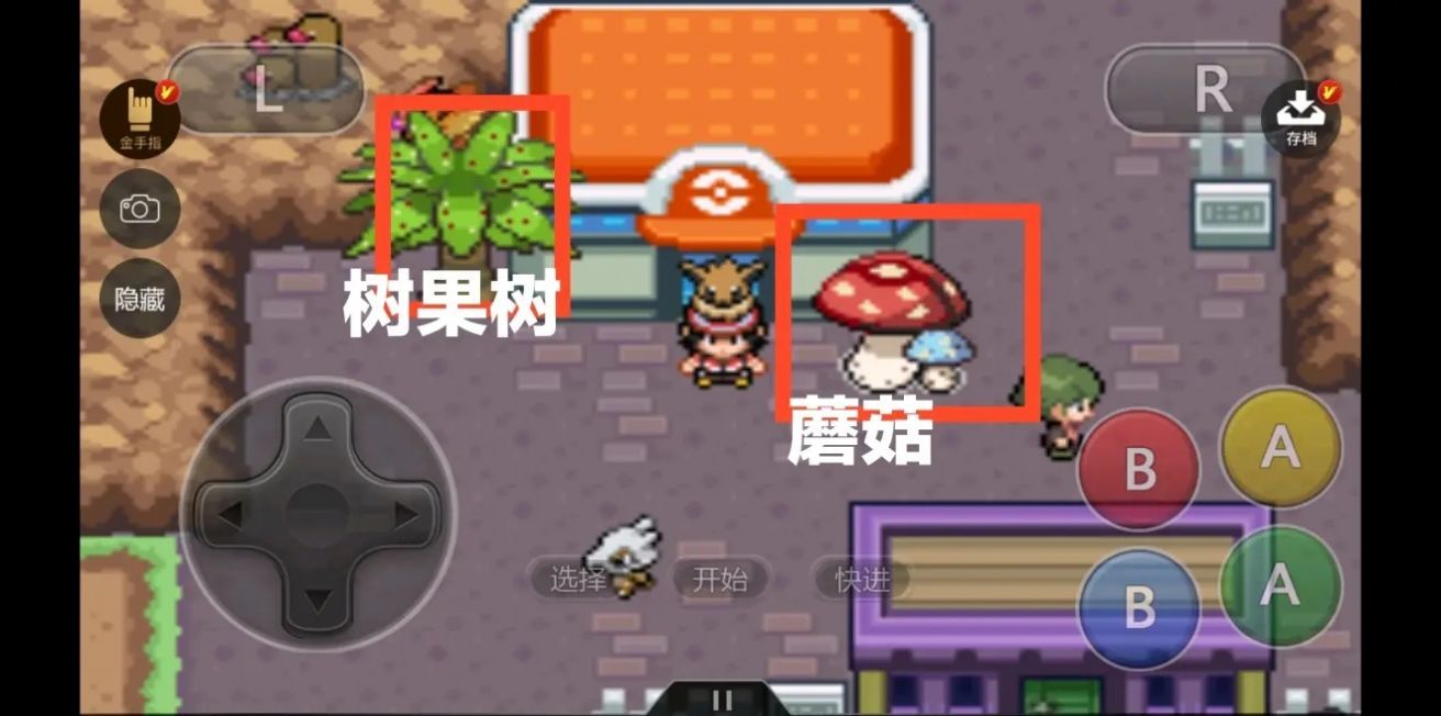 口袋妖怪去吧布衣图文攻略完整版图3