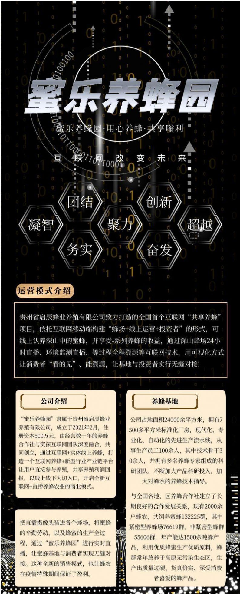 蜜乐养蜂园图3