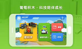 葡萄积木图4
