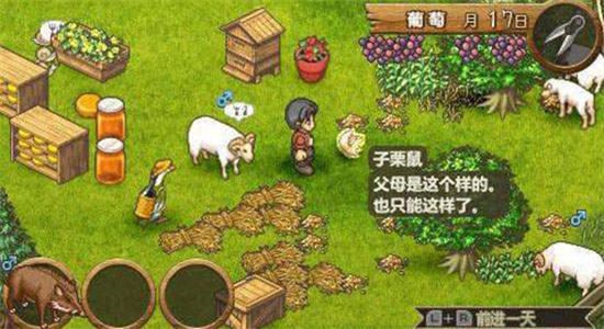 欢迎来到绵羊村 手机版汉化版图3