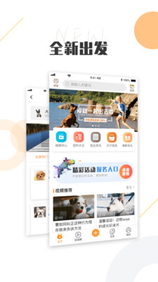 K9犬网图2