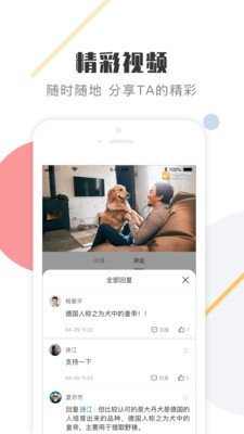 K9犬网图3