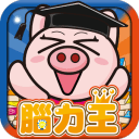 3国小猪香港王
