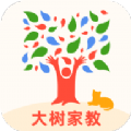 大树家教图标