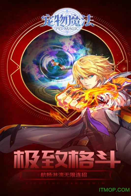 果盘宠物魔法bt手游图3